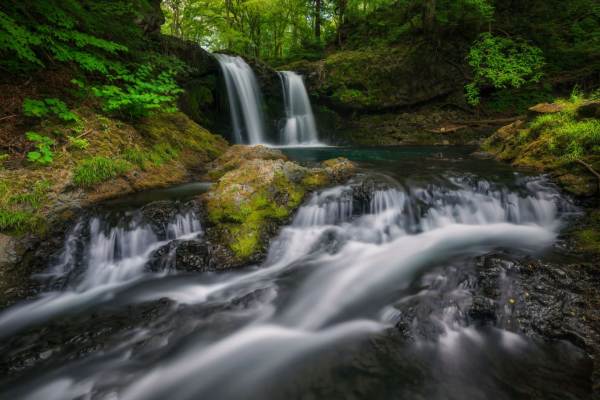 Tranquility captured in Stunning Photo of Japan