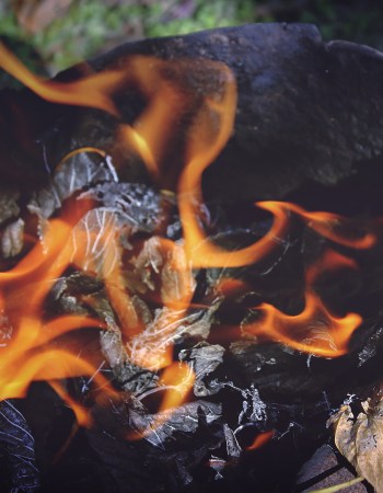 First time cook? Following a recipe can lead to disaster.