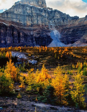Valley of the Ten Peaks: Larch Valley Hike and Sentinel Pass