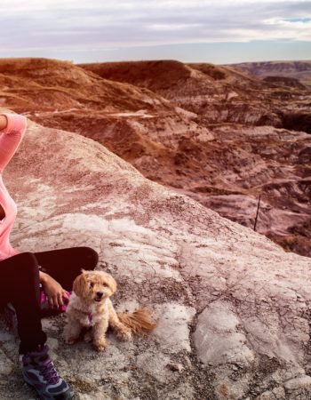 Alberta Hike: Horseshoe Canyon in Drumheller, Canada’s Best Badlands