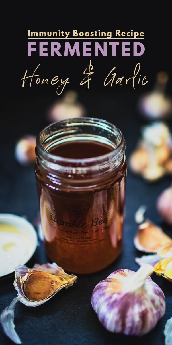 Honey Garlic Ferment Recipe