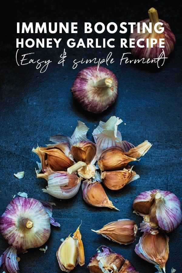 Healthy Immune Boosting Garlic Honey Ferment Recipe Easy Fermentation